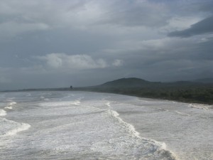 img_8624