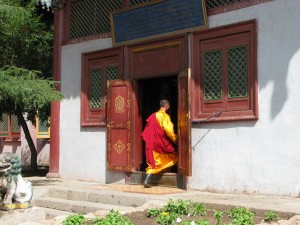 IMG_9556 IMG_9556