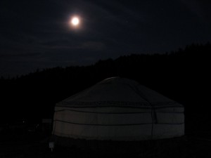 IMG_9769 IMG_9769