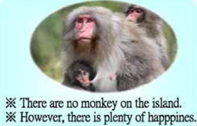 Monkey04